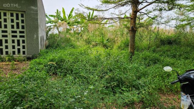 Chủ gửi bán lô đất nền trong KDC Phú Thành Hiệp cách QL1A chỉ vài trăm mét Bến Lức,Long An giá 720t