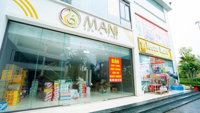Cơ Hội Vàng ĐT CH Cho Thuê Tại Tecco Elite City. Chỉ từ 790 triệu lãi 216 triệu sau 2 năm
