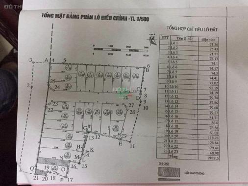 Bán đất đấu giá gần trung tâm Đông Anh giá chỉ 5x tr/m2