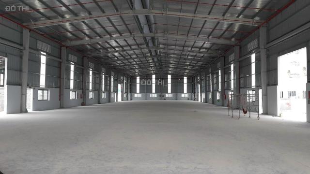 *Cho thuê kho xưởng*3000m2 KCN Đức Hoà 3, Đức Hoà, Long An