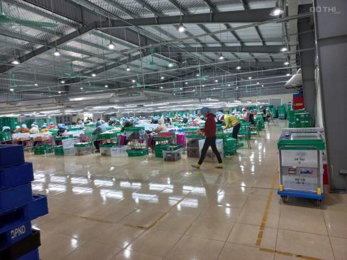 TRANSFER OF THE ENTIRE FACTORY in NAM DINH PROVINCE