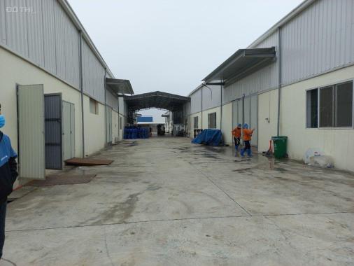 TRANSFER OF THE ENTIRE FACTORY in NAM DINH PROVINCE