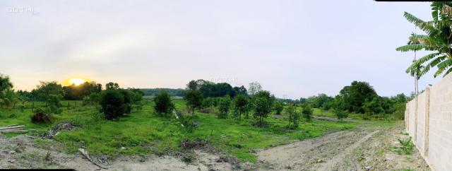 Bán đất Củ Chi, lô đất MT đường nhựa Nguyễn Thị Dòn, 3.838m2, có 150m thổ cư, xã Nhuận Đức.