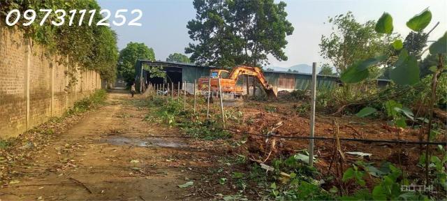 Chính chủ cần bán gấp 1.500m² đất tại xã Đông Xuân, Quốc Oai, Hà Nội.
