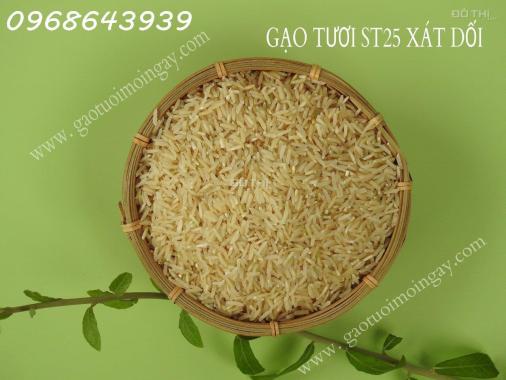 Gạo XÁT DỐI ST25 lúa tôm – Nguồn dinh dưỡng bị lãng quên, Miễn Phí Giao Hàng Toàn Quốc