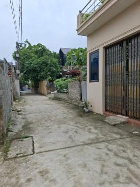 Bán 55m2, đất Xâm Xuyên Hồng Vân, giá 1 tỷ x0 triệu  - Mảnh đất đẹp giá rẻ tại Xâm Xuyên