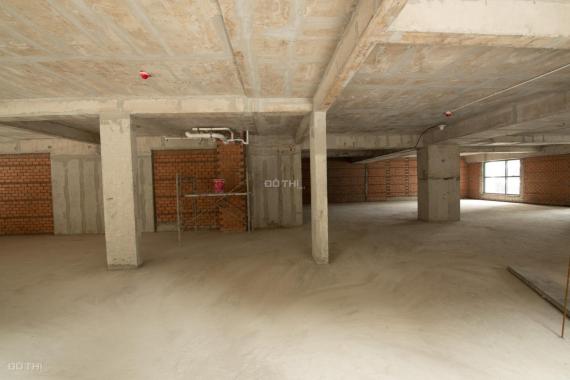 Cho thuê shophouse khối đế chung cư Diamond Alnata Celadon City diện tích 200 - 700m2