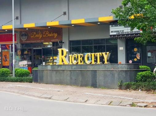 Bán căn hộ Linh Đàm - Rice City, 2 ngù 2 vệ sinh, 70m2, full nội thất cao cấp. Giá 3,4 tỷ