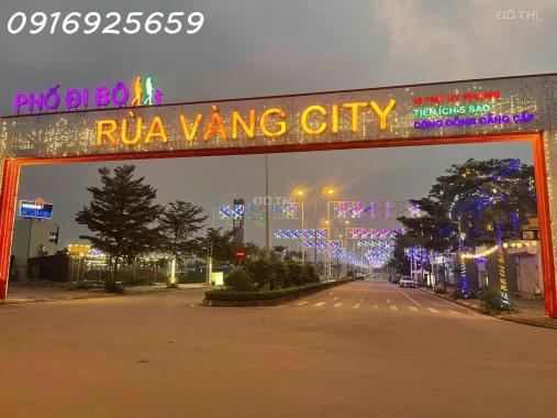 Bán đất ở đô thị Rùa Vàng, thị trấn Vôi, Lạng Giang, Bắc Giang, giá đầu tư