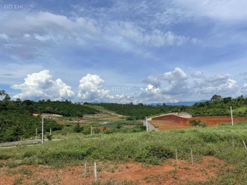 Bán đất gần chợ Lộc An - cách quốc lộ 20 chỉ 200m.