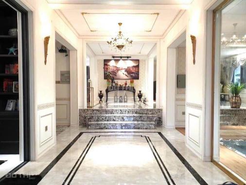 Cho thuê Biệt thự Chateau cao cấp 500m2, ngay phú mỹ hưng, Quận 7