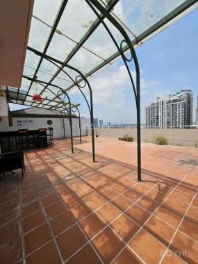 Bán Penthouse chung cư MỸ KHANG, Phú Mỹ Hưng, Quận 7 Giá Đầu Tư