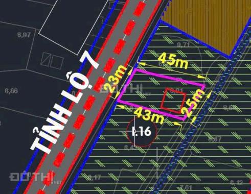 Bán Biệt thự Vườn nghỉ Dưỡng mặt tiền đường TL 7, xã trung Lập Hạ, Củ Chi, tp. HCM