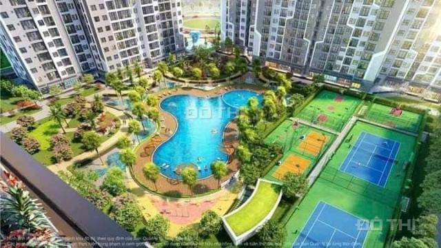 Mở bán căn hộ Chung Cư cao cấp Vinhomes Star City Thanh Hóa tiện ích 5* chỉ  599tr