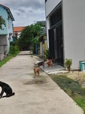 Bán đất Lộc Đại, Lộc Ninh, Đồng Hới , quảng Bình