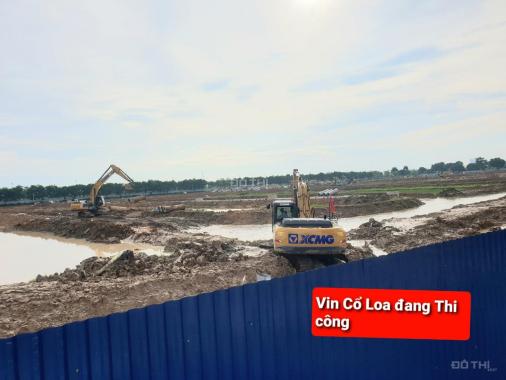 HÀNH XÓM VIN CỔ LOA, ĐÔNG ANH, HÀ NỘI. VỊ TRÍ ĐẮC ĐỊA, CHỈ BÁN ĐẤT ĐẸP