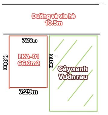 Đấu giá Đông Tảo,đường 10m vỉa hè,thông, giáp cây xanh,66.2m,mt 7.29m,2.6x tỷ. 0971320468