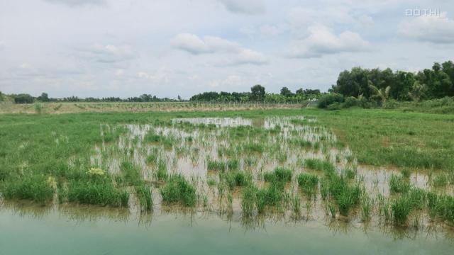 Bán đất vườn , thổ cư Đường Kênh cửa đông P2 ,Kiến Tường, Long An giá 4ty hết đất