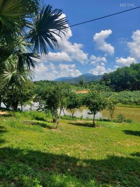 4989 m2 VỊ TRÍ ĐẸP - CÓ THƯƠNG LƯỢNG MIỄN TRUNG GIAN - YÊN BÀI -BA VÌ - HÀ NỘI