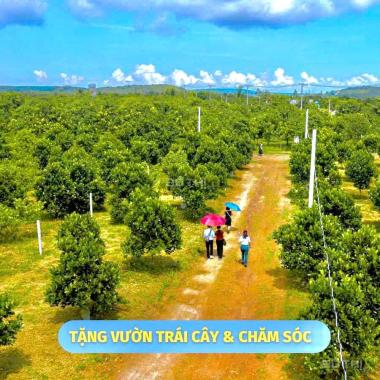 Bán trang trại, khu nghỉ dưỡng tại Xã La Ngà, Định Quán, Đồng Nai diện tích 1000m2