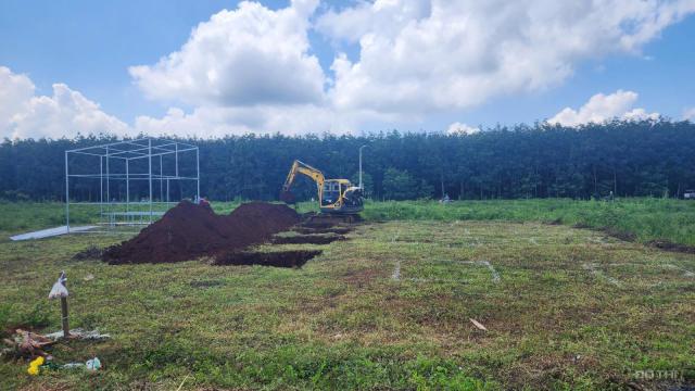 Mua ngay Đất nền Phú Lộc, cách công viên 1,1 ha - tiềm năng phát triển mạnh mẽ