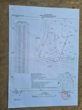 Bán 35,613m (hơn 3,5 hecta) Xuyên Mộc, Bà Rịa, Vũng Tàu.