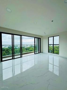 Giỏ hàng Diamond - Celadon City mua trực tiếp từ CĐT chiết khấu 17%, nhà mới ở ngay, LH 0908567786