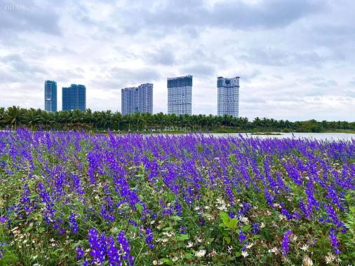 Bán căn hộ 3 ngủ , Tòa S1-2 , chung cư Sky Oasis Ecopark - Giá 4 tỷ 250 bao thuế phí