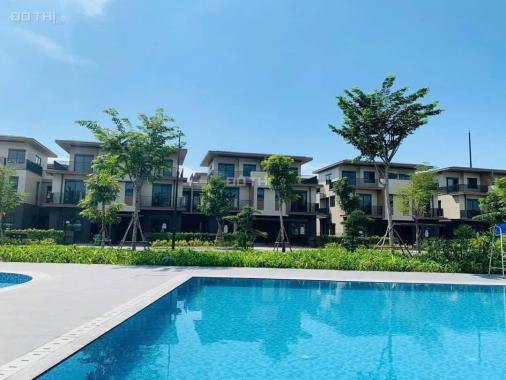 Izumi City – Môi Trường Sống Lý Tưởng Cho Những Nhà Đầu Tư Tầm Cỡ