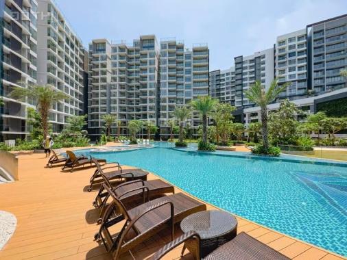 View hồ bơi-Căn 3PN 121m2 Diamond Centery giá bán chỉ 7.4 tỷ-Ký HĐMB trực tiếp từ CĐT, Celadon City