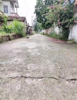 HÀNG SIÊU HIẾM 60M THÔN PHÚ CƯỜNG MINH PHÚ SÓC SƠN 0987785686