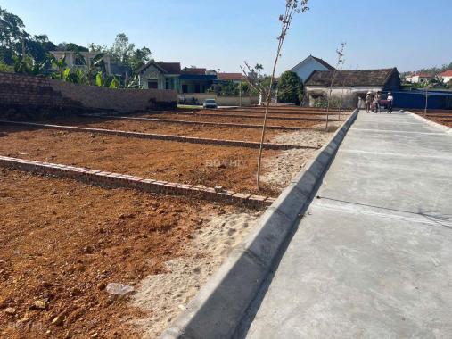 Chính chủ cần bán nhanh một số lô đất nền dân sinh giá rẻ thuỷ nguyên hải phòng