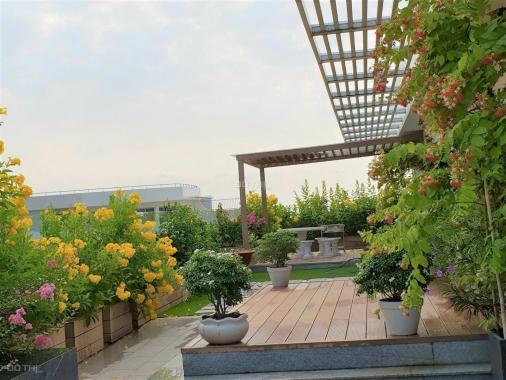 Bán căn hộ penhouse Riverpark Residence 534m2, 2 lầu, có sân vườn rộng