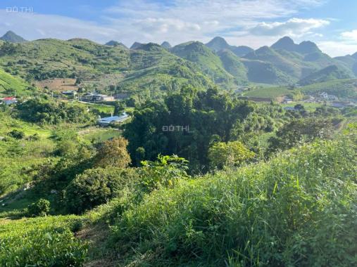 Siêu phẩm đất nghỉ dưỡng 1,2ha tại Mộc Châu, View đồi chè tuyệt đẹp, độc nhất thị trường