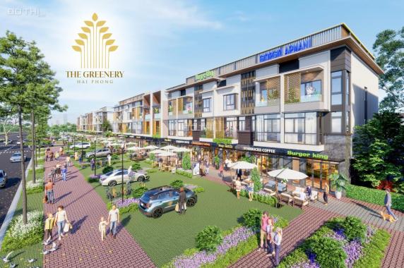 Dự án mới giá gốc chủ đầu tư The Greenery Hải Phòng, ngay chân cầu Nguyễn Trãi. Giá cực tốt