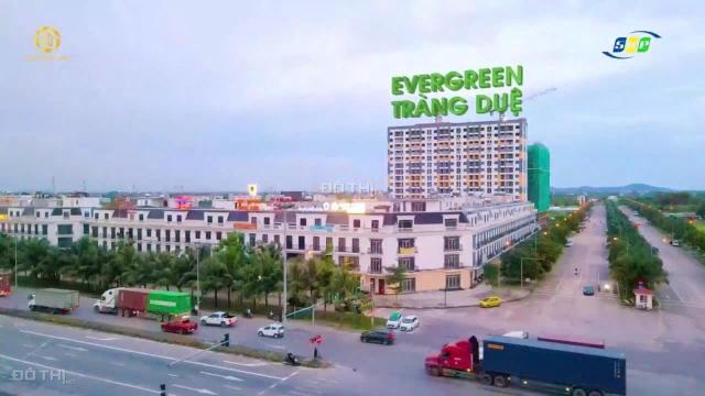 NOXH Evergreen Tràng Duệ Hải Phòng 26m2 và 54m2