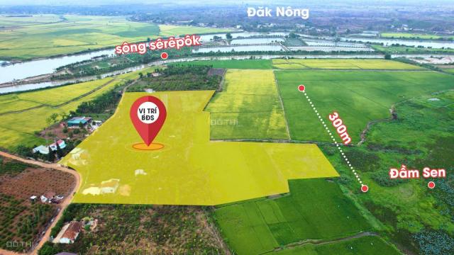 CHỦ CẦN BÁN GẤP LÔ ĐẤT SIÊU ĐẸP TẠI QUỲNH NGỌC – CƠ HỘI VÀNG ĐẦU TƯ SINH LỜI CAO.