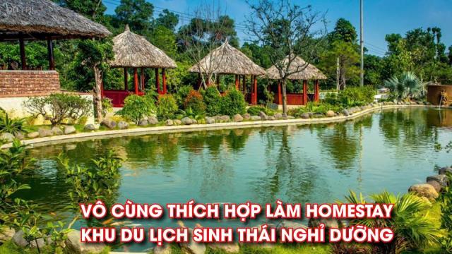 CHỦ CẦN BÁN GẤP LÔ ĐẤT SIÊU ĐẸP TẠI QUỲNH NGỌC – CƠ HỘI VÀNG ĐẦU TƯ SINH LỜI CAO.