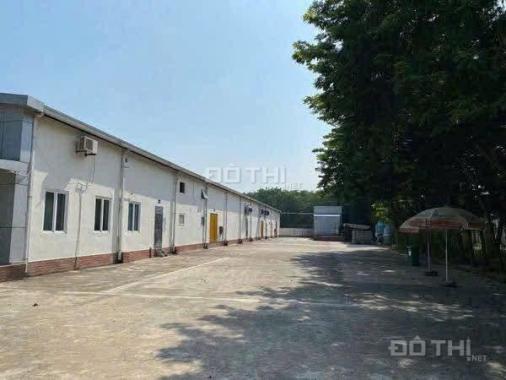 CHO THUÊ NHÀ MÁY CB THỰC PHẨM Tại GIA LÂM. HÀ NỘI
