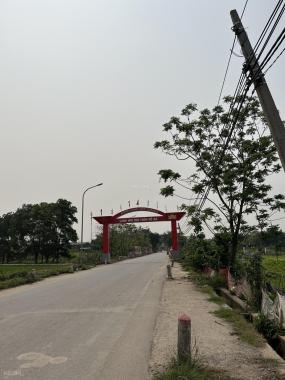 CC bán 43,3 m2 ba mặt tiền làng Đan Nhiễm, Khánh Hà, Thường Tín