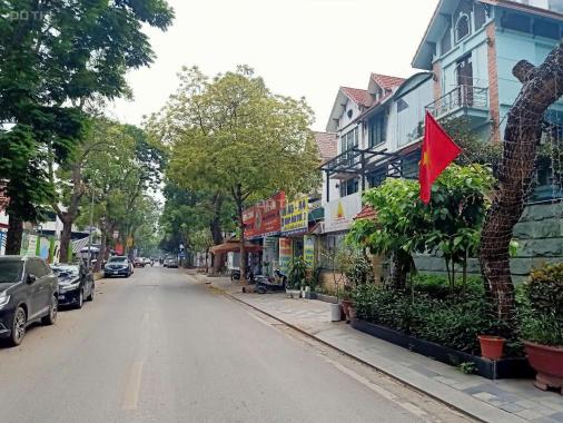 Cho thuê biệt thự Mỹ Đình 2 vị trí đẹp trục chính giá 50 triệu/tháng