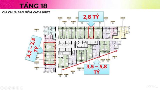 🌟THE XANH 2 – CĂN HỘ VIEW PHÁO HOA GIỮA TRUNG TÂM VỊNH CÁT BÀ 