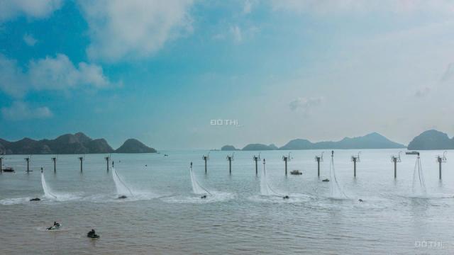🌟THE XANH 2 – CĂN HỘ VIEW PHÁO HOA GIỮA TRUNG TÂM VỊNH CÁT BÀ 