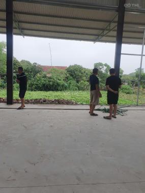 CHÍNH CHỦ CẦN CHO THUÊ KHO, XƯỞNG Tại Huyện ÂN THI, TỈNH HƯNG YÊN