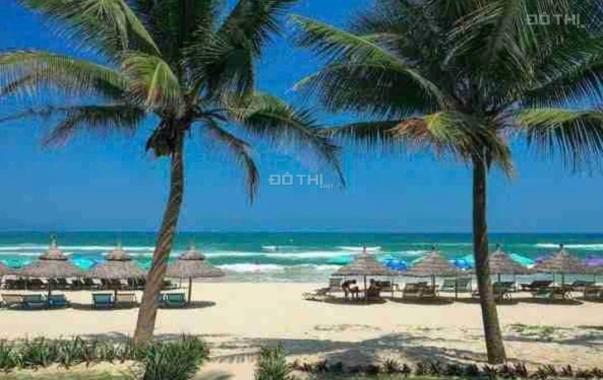 💥 Bán Gấp Lô Đất Biển Mặt Đường An Cư 7 - Sơn Trà, Đà Nẵng. Diện tích 80m2