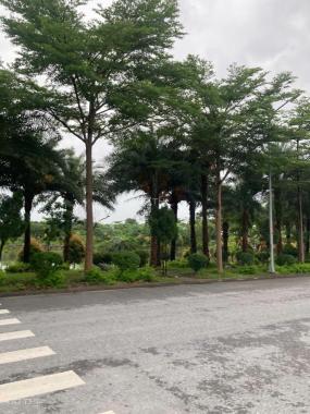 💎 SIÊU PHẨM ĐẤT ĐẸP TRUNG TÂM TỪ SƠN – VIEW HỒ – SỔ ĐỎ TỪNG LÔ – GIÁ CHỈ TỪ 44 TRIỆU/M