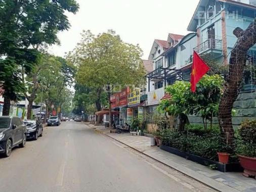Cho thuê biệt thự Mỹ Đình 2 150m2 4 tầng giá 45 triệu/tháng