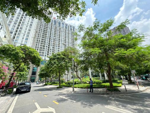 Bán căn hộ cao cấp toà Roman Plaza 69m2 2PN 2WC full nội thất đẹp