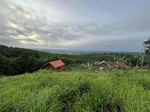 Đất Đẹp La Ngà – Sổ Riêng, View Chill, Đường Ô Tô – Chính Chủ Sang Nhượng