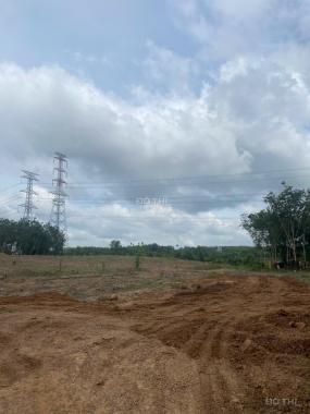 CHO THUÊ GẤP – ĐẤT ĐẸP GIÁ SIÊU TỐT – 45.000m² TẠI AN LONG